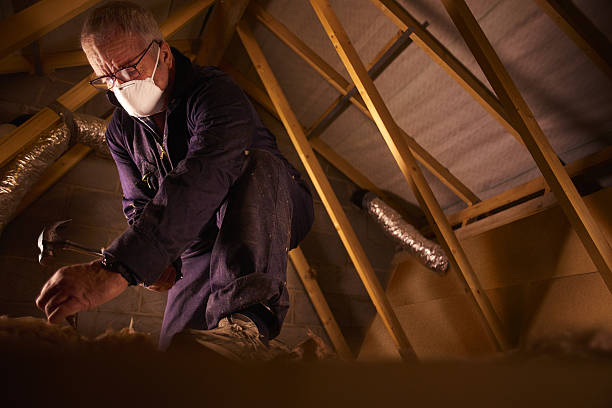 Best Residential Insulation in Egypt, AL