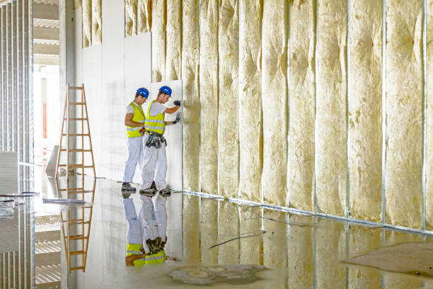 Best Insulation Materials and Products in Egypt, AL